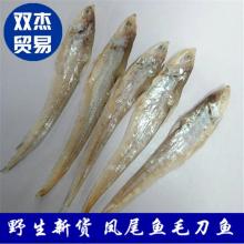 丹江口市博奧水產(chǎn)品有限責(zé)任公司 優(yōu)質(zhì)水產(chǎn)品供應(yīng)商，專注凍銀魚與凍斑點(diǎn)叉尾鮰