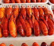 冷凍水產(chǎn)品鯧魚熱賣促銷，家庭餐桌的鮮美新選擇