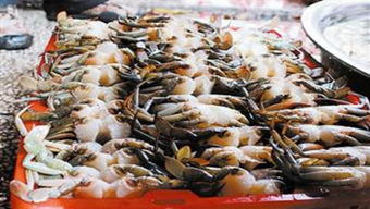 2015年中國水產(chǎn)品進出口貿(mào)易格局 機遇與挑戰(zhàn)并存